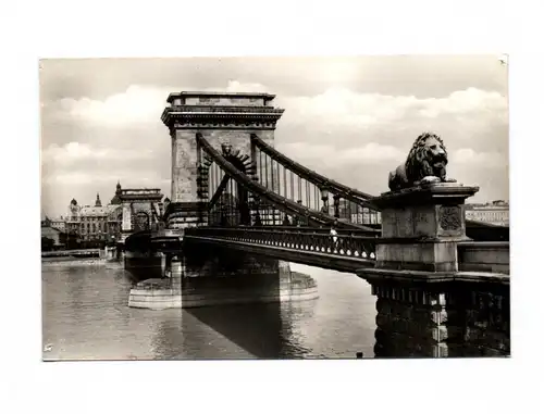 Foto Ak Budapest Lanchid Brücke Löwe Kettenbrücke