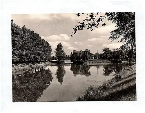 Ak Großenhain Gondelteich Echt Foto DDR Ansichtskarte