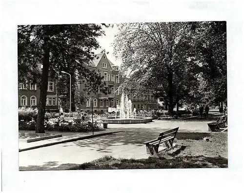 Foto Ak Großenhain Anlagen an der Karl Maria von Weber Allee Echtfoto DDR