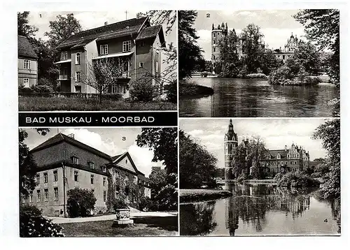 Ansichtskarte Bad Muskau Echtfoto Turmvilla Schloßruine Das Moorbad DDR