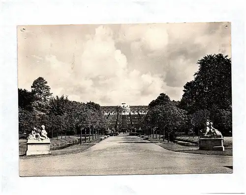 Ak Schloß Sanssouci mit Weinbergterrassen Potsdam DDR