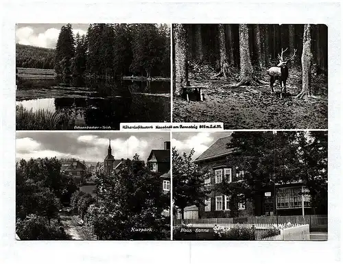 Ak Höhenluftkurort Neustadt am Rennsteig Ochsenbacher Teich Kurpark Haus Sonne