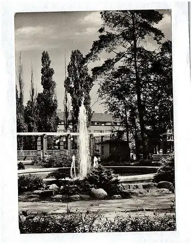 Foto Ak Wandlitzsee im Park Ansichtskarte DDR 1966