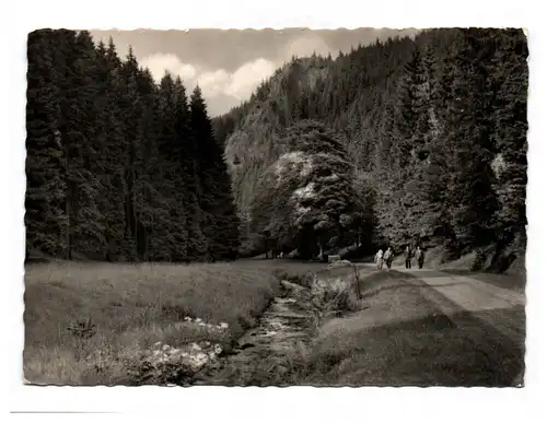 Ak Oberhof Thüringen Räuberstein im Silbergraben Echtfoto