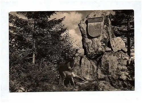 Al Luftkurort Oberhof Thüringen Wappenstein Echtfoto