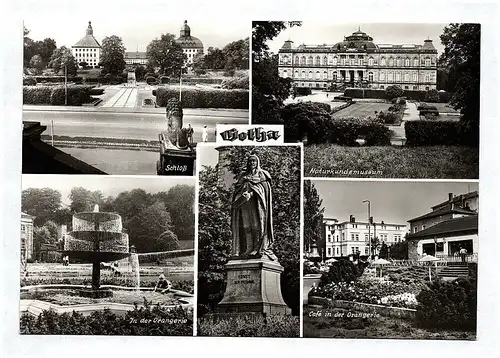 Ak Gotha Schloß Naturkundemuseum Orangerie Cafe Echtfoto DDR