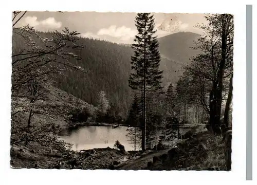 Foto Ak Pfanntalsteich Thüringen Oberhof Echtfoto