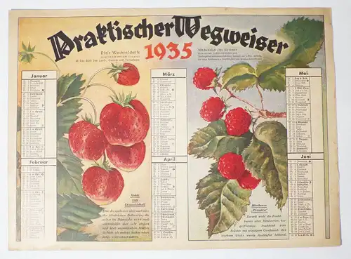 Kalender 1935 Praktischer Wegweiser Beeren Obst Pomologie