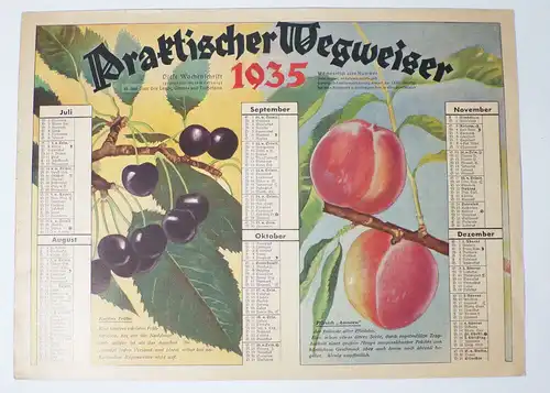 Kalender 1935 Praktischer Wegweiser Beeren Obst Pomologie