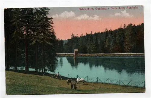 Ak Hahnenklee Oberharz Partie beim Auerhahn Harz um 1910