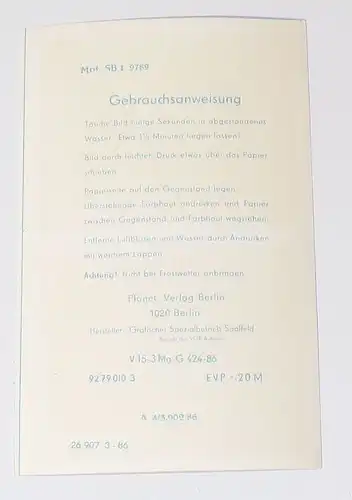 DDR Abziehbild Pittiplatsch Schnatterinchen 1986