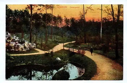 Ak Chemnitz Zeissigwald Sachsen Wald DR 1910