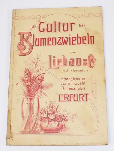 Die Kultur der Blumenzwiebel von Liebau und Co Baumschule Erfurt um 1900