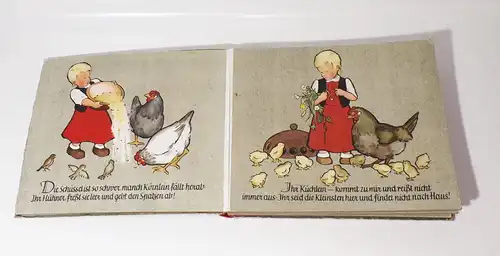 Im Hühnerhof Ein Bilderbuch von Hiltrud und Joachim Kölbel Tiere Kinder Buch