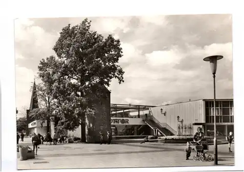 Ak Cottbus HO Gaststätte Am Stadttor 1974 