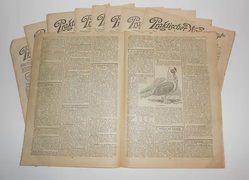 Konvolut Zeitungen Praktischer Wegweiser Würzburg in Stadt & Land 1907