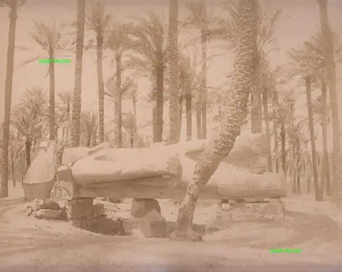 Albumin Foto  Statur Ramses II in Memphis Ägypten egypt 1880 1890