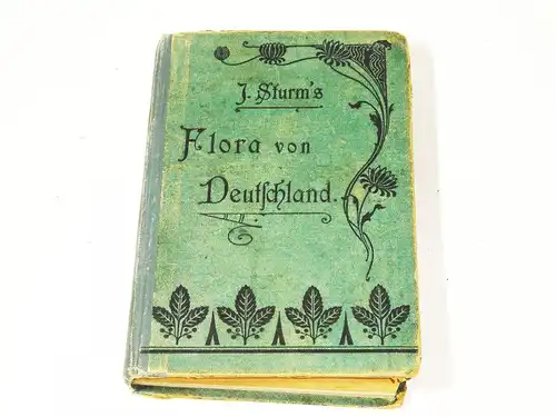 Sturm Flora von Deutschland 6 Band 1902 Mohnartige Cistifloren Säulenträger