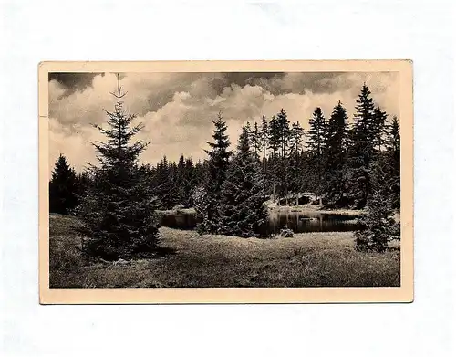 Ak Höllteich Thüringer Wald Am Weg Neustad Gillersdorf Echtfoto