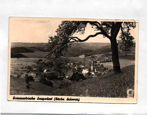 Ak Sommerfrische Suapsdorf Sächsische Schweiz DDR 1956