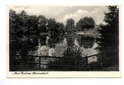 Ak Bad Kudowa Hammerteich 1930er Schlesien Polen