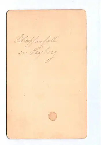 CDV Foto Wasserfall in Triberg Schwarzwald um 1880 