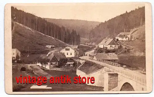 CDV Foto Gottliebsthal um 1880 Saale Thüringen