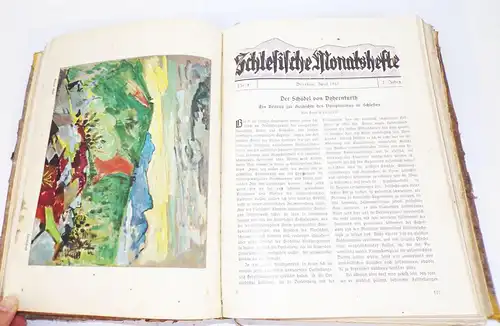 Schlesische Monatshefte Gebunden Buch 1925