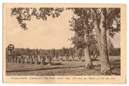 Feldpost Ak Kriegerfriedhof Eichenhain Gren.Landw.Regt.100 1916 WW1 !