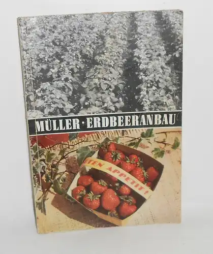 Dr. Horst Müller Erdbeeranbau 1964 Erbeere VEB Deutscher Landwirtschafts Verlag