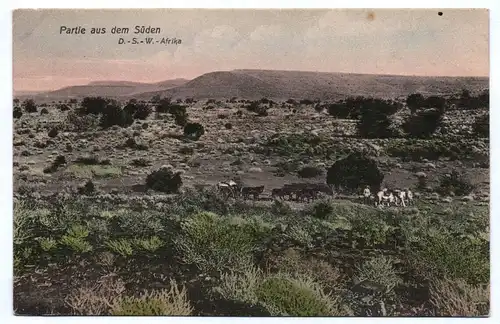 Ak DSWA Partie aus dem Süden Kolonie Deutsch Südwest Afrika 1910er