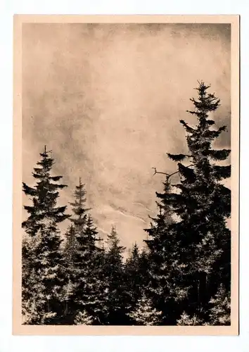 Ak München Haus der Deutschen Kunst Willi Kriegel um 1940 Morgen