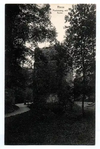 Ak Riesa Postweg mit Ruine 1908