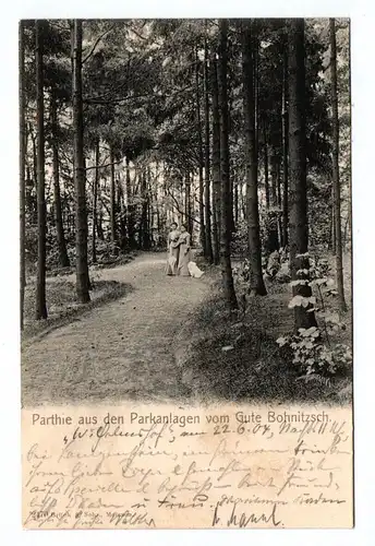 Litho Ak Parthie aus den Parkanlagen von Gute Bohnitzsch 1904