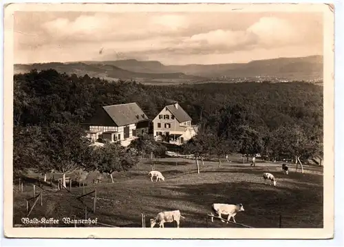 Ak Wald Kaffee Wannenhof Hohenstaufen 1948