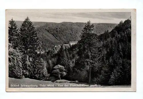 Ak Schloß Schwarzburg Thüringer Wald Von der Flaschenwiese gesehen 1954