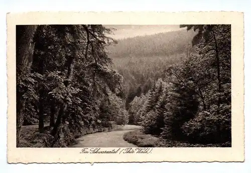 Ak Fin Schwarzatal Thüringer Wald