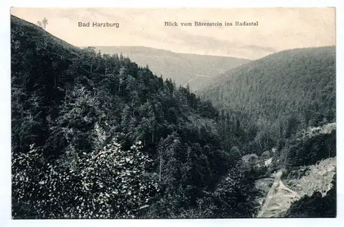 Ak Bad Harzburg Blick vom Bärenstein ins Radautal