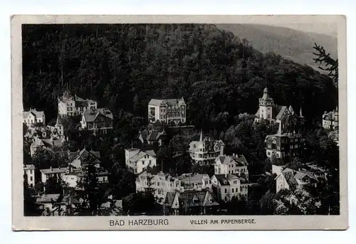 Ak Bad Harzburg Villen am Papenberge 1914