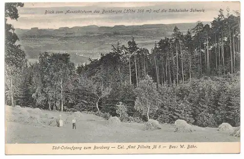 Ak Aussichtsturm Borsberg Sächsische Schweiz Süd-Ostaufgang 1910er