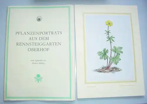 Pflanzenportraits aus dem Rennsteiggarten Oberhof Aquarelle Herbert Schilling 
