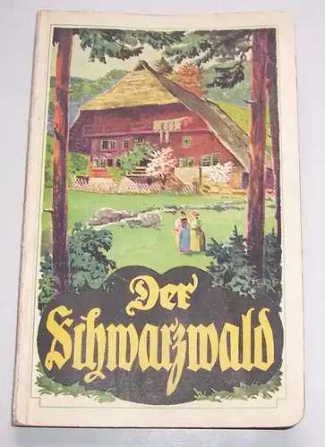 Der Schwarzwald Führer Städte Bäder Sommerfrischen Gaststätten 1927 Reisebuch