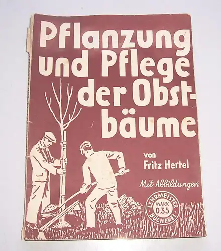 Pflanzung und Pflege der Obstbäume Fritz Hertel um 1930 Lehrmeister