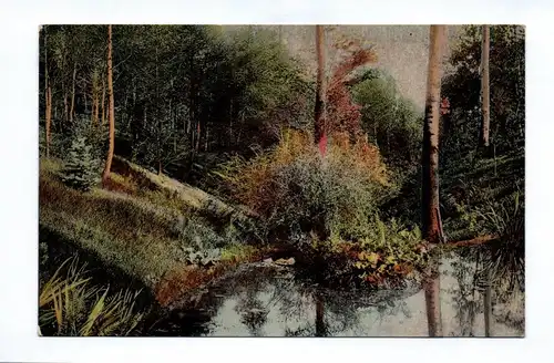 Ak Chemnitz Partie im Küchwald