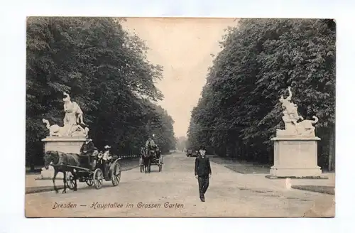 Ak Dresden Hauptallee im Grossen Garten 1918