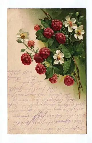 Litho Ak Himbeer Blumen Motivkarte 1916