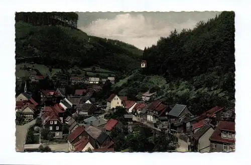 Ak Luftkurort und Sommerfrische Zorge Südharz Blick vom Rabenstal zum Pferdchen