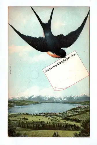 Ak Gruss vom Starnberger See 1907 Vogel