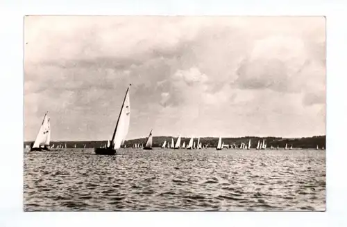Ak Bad Saarow Pieskow Segelregatta 1962