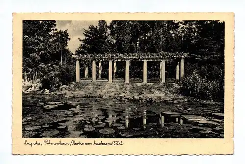 Ak Liegnitz Palmenhain Partie am heizbaren Teich 1940
